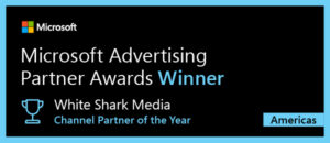 Microsoft Channel Partner of the Year