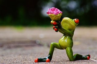 frog bouquet of flowers